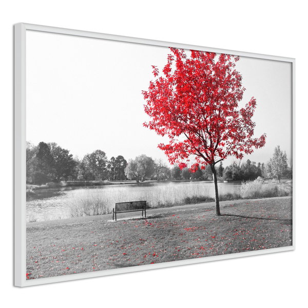 Poster 'Autumn Colours I'