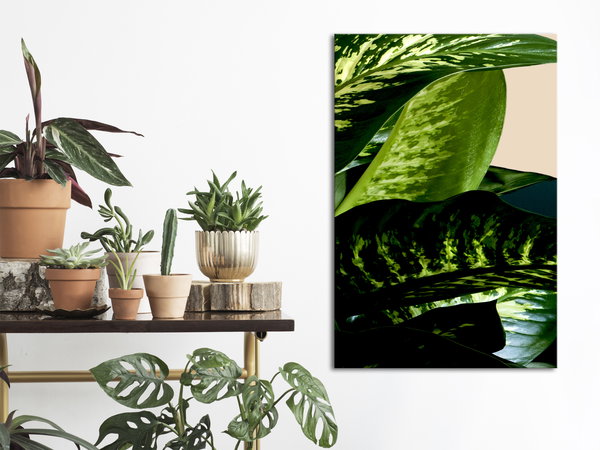 Kunstdruck auf Leinwand 'Dieffenbachia Vertical'