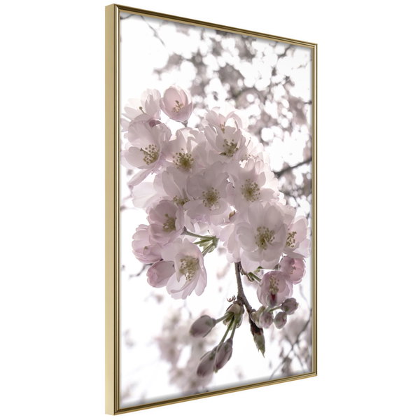 Poster 'Spring Visit'