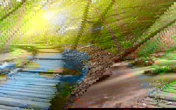 Papier peint 'Boardwalk' 400x267cm