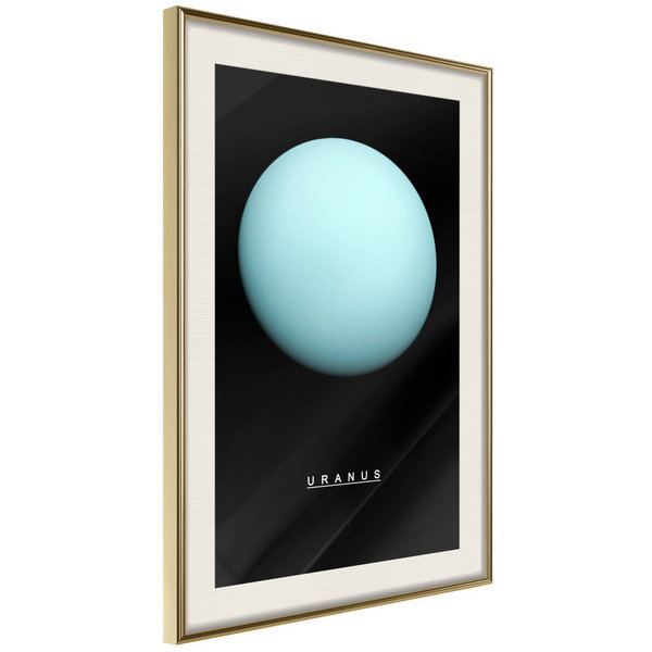 Poster 'Uranus'