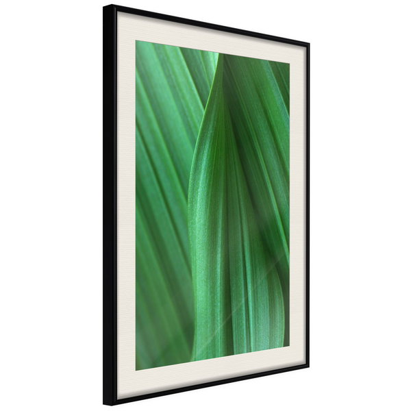 Poster 'Leaf Structure'