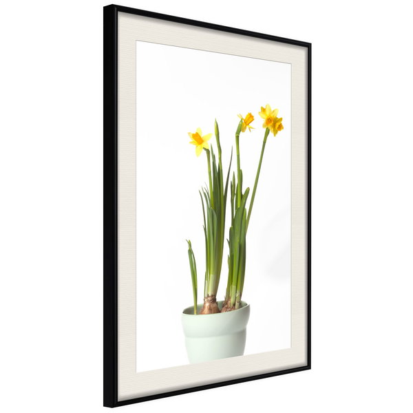 Poster 'Piece of Nature IV'