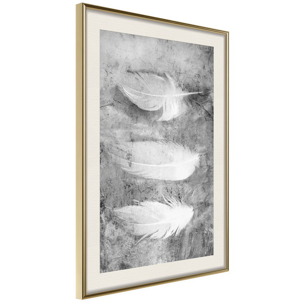 Poster 'Delicate Feathers'