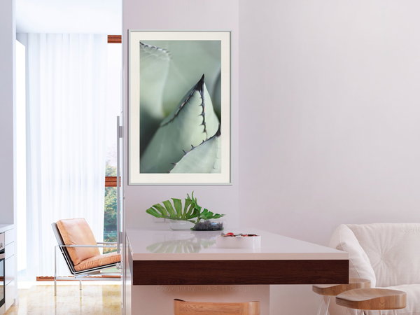Poster 'Young Leaf of Agave'