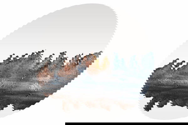 Funktionalität in seinem schönsten Design