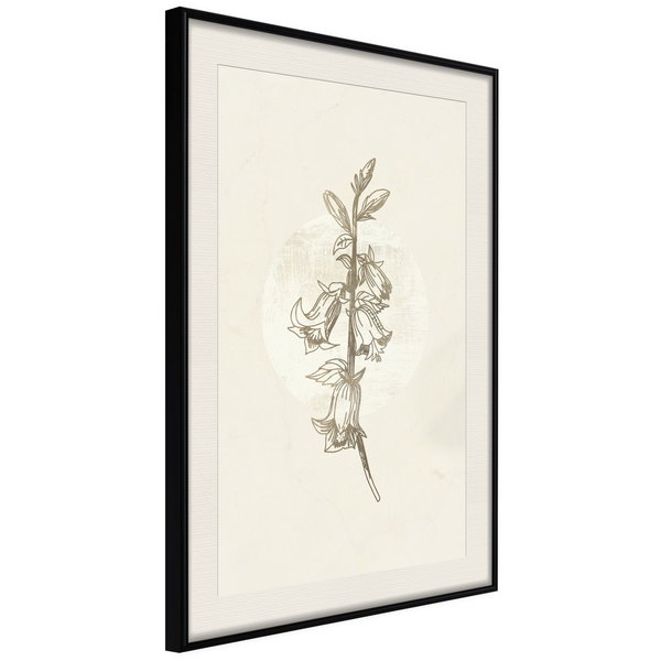 Poster 'Beige Campanula'