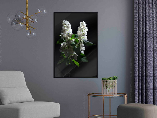 Poster 'White Lilac'