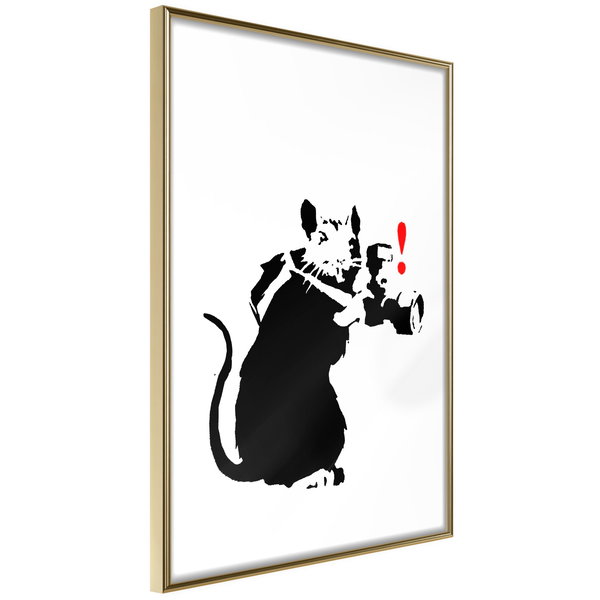 Poster 'Rat Photographer'