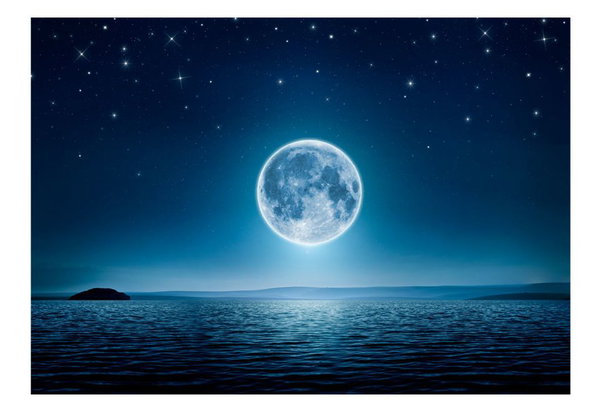 Tapete 'Moonlit night'