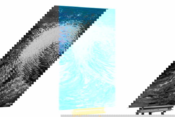 Un exemplaire unique pour votre intérieur