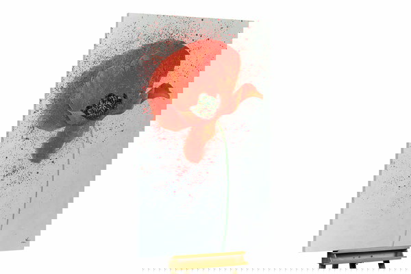 Un ejemplar único para su hogar o puesto de trabajo