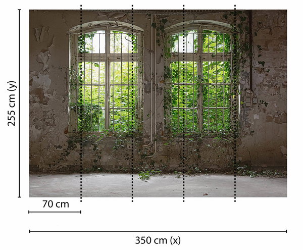 Tapete 'Old Window' 350x255cm