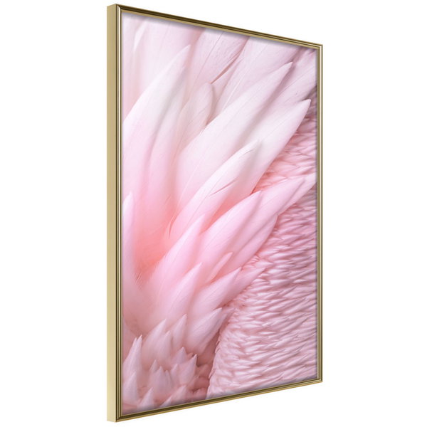 Poster 'Pink Feathers'