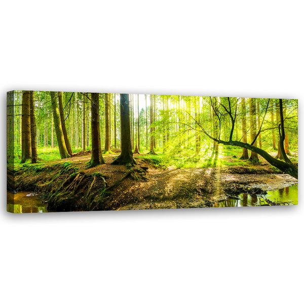 Kunstdruck auf Leinwand 'Green Forest Sunlight 2'