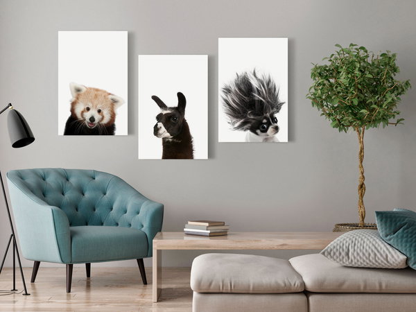 Kunstdruck auf Leinwand 'Friendly Animals (Collection)'