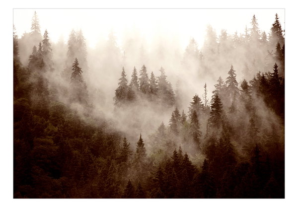 Selbstklebende Tapete 'Mountain Forest (Sepia)'