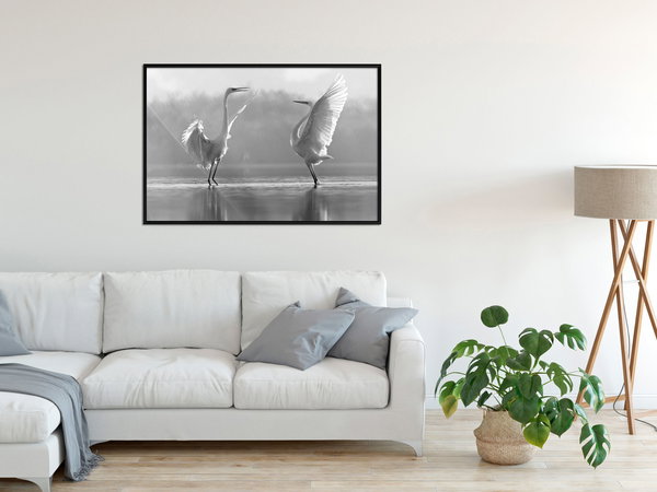 Poster 'Black and White Herons'
