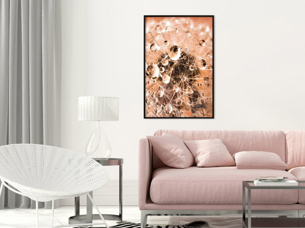 Poster 'Drops on Dandelion'