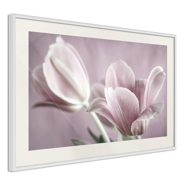 Poster 'Pastel Tulips I'