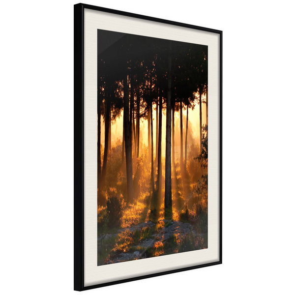 Poster 'Dark Tree Tops'
