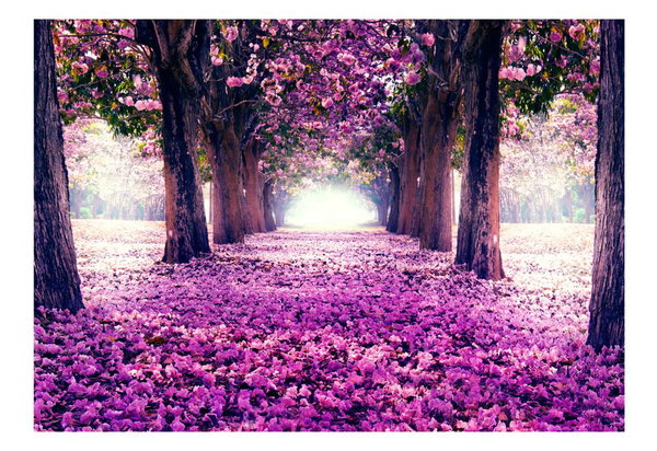 Selbstklebende Tapete 'Flower road'