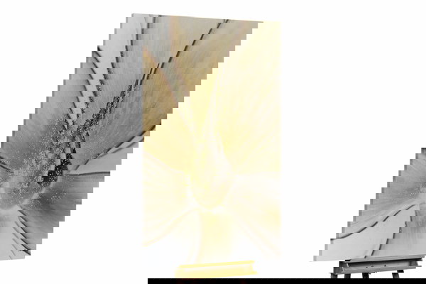 Un exemplaire unique pour votre intérieur