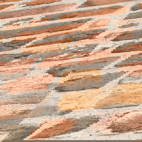 Papier peint 'Beautiful Entrapment' 53x1005cm