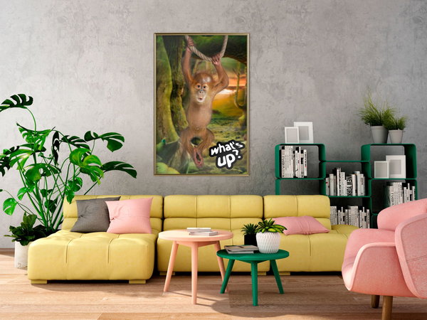 Poster 'What's Up?'