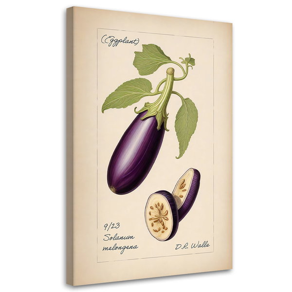 Kunstdruck auf Leinwand 'Eggplant'