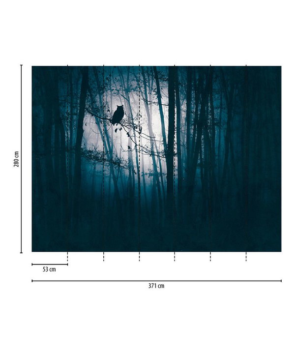 Wallpaper 'Midnight Woods' 146x110inches