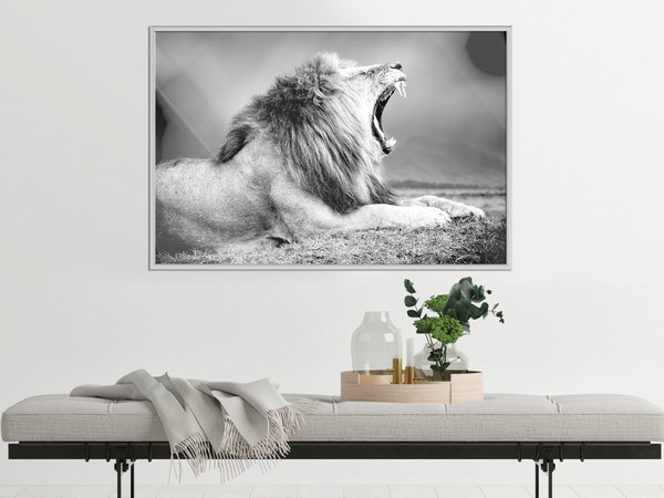 Poster 'Yawning Lion'