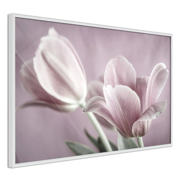 Poster 'Pastel Tulips I'