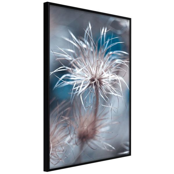 Plakat 'Like a Dandelion'