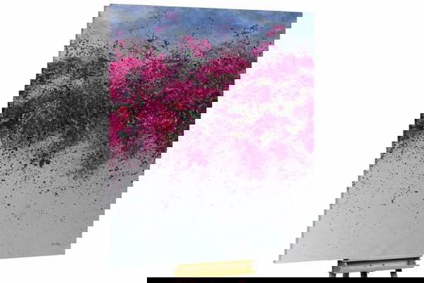 Un ejemplar único para su hogar o puesto de trabajo