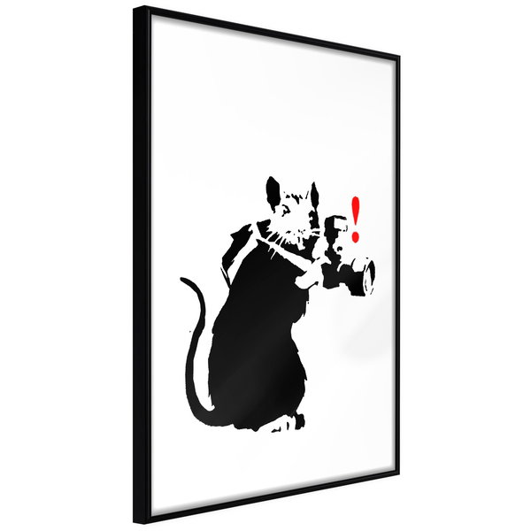 Poster 'Rat Photographer'