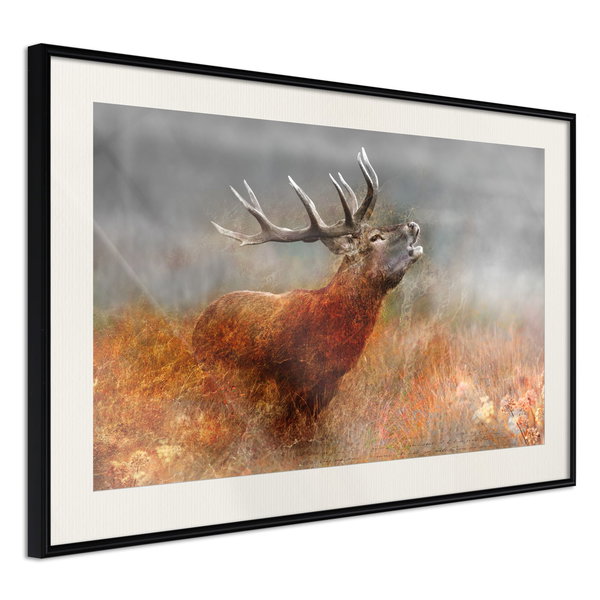 Poster 'Rut'