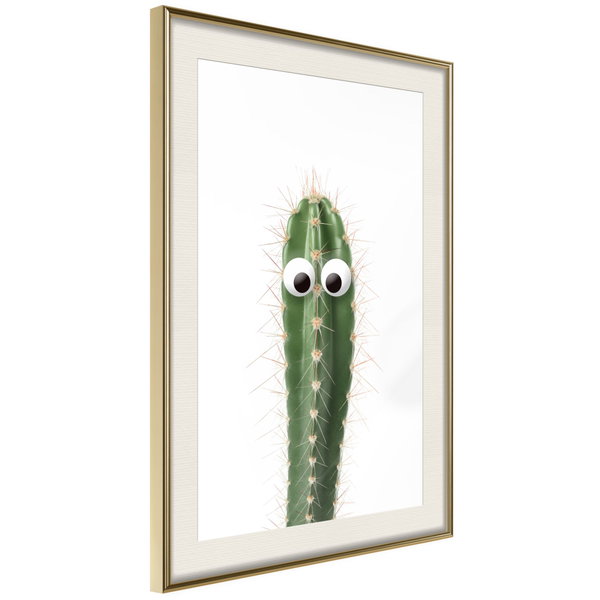 Poster 'Live Cactus'
