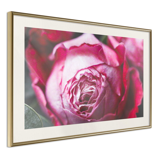 Aφίσα τοίχου 'Blooming Rosae'
