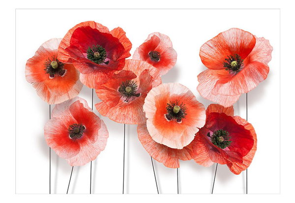 Tapete 'Nine poppies'