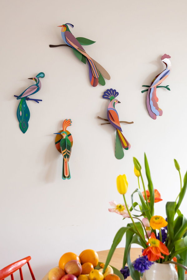 Wanddeko Papier 'Tropenvogel Maya'