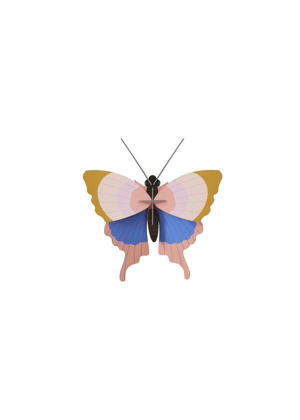 3D Wandobject gemaakt van karton 'Pastel Wing Beauty'