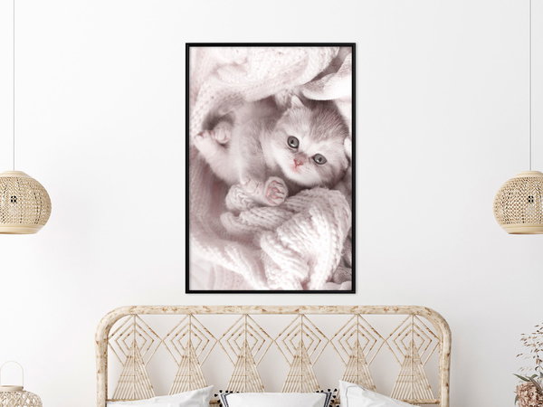Poster 'Lover of Rest'