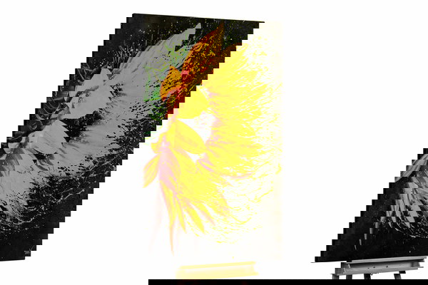 Un ejemplar único para su hogar o puesto de trabajo