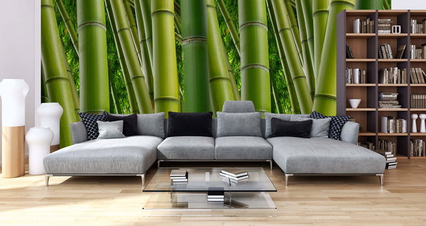 Tapete 'Bambus 2' 400x267cm