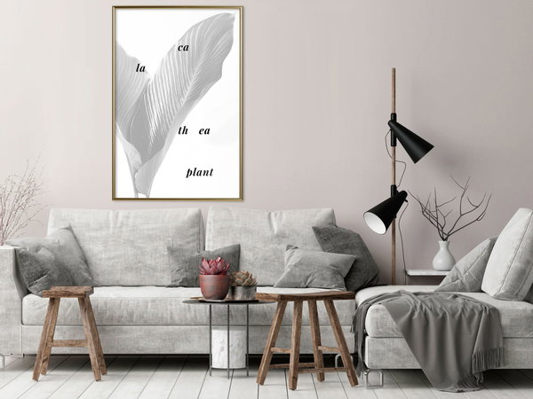 Poster 'Calathea Leaves'