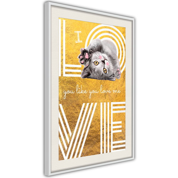 Poster 'I Love You like You Love Me'
