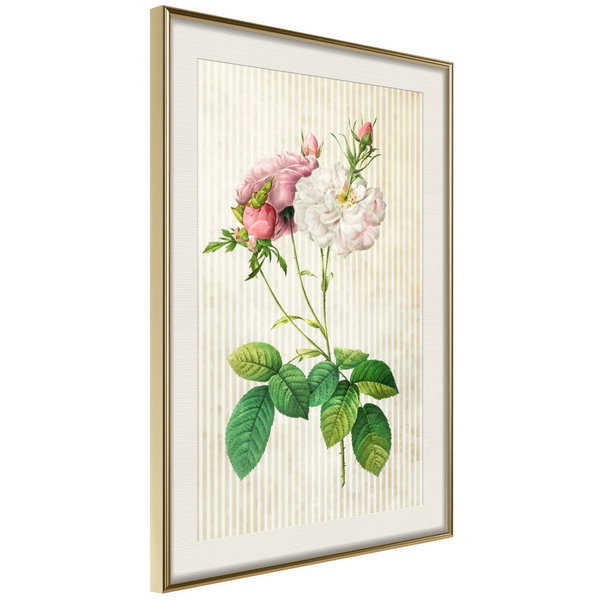 Poster 'Romance I'