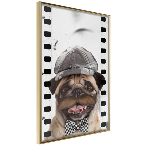 Poster 'Pug In Hat'