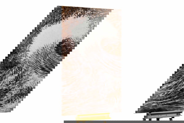 Um exemplar único para a sua decoração interior